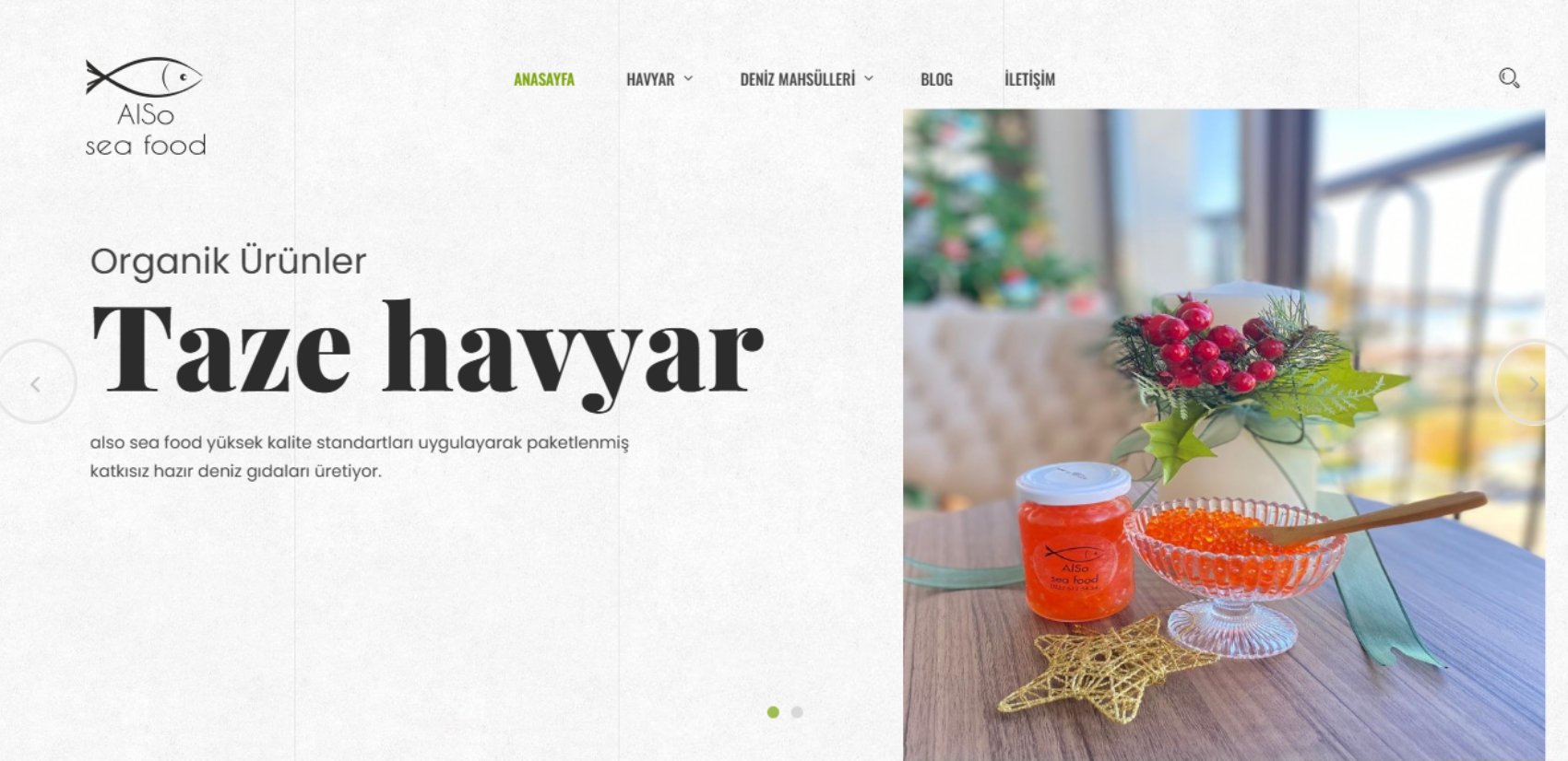 Web Tasarım/Logo/Adwords